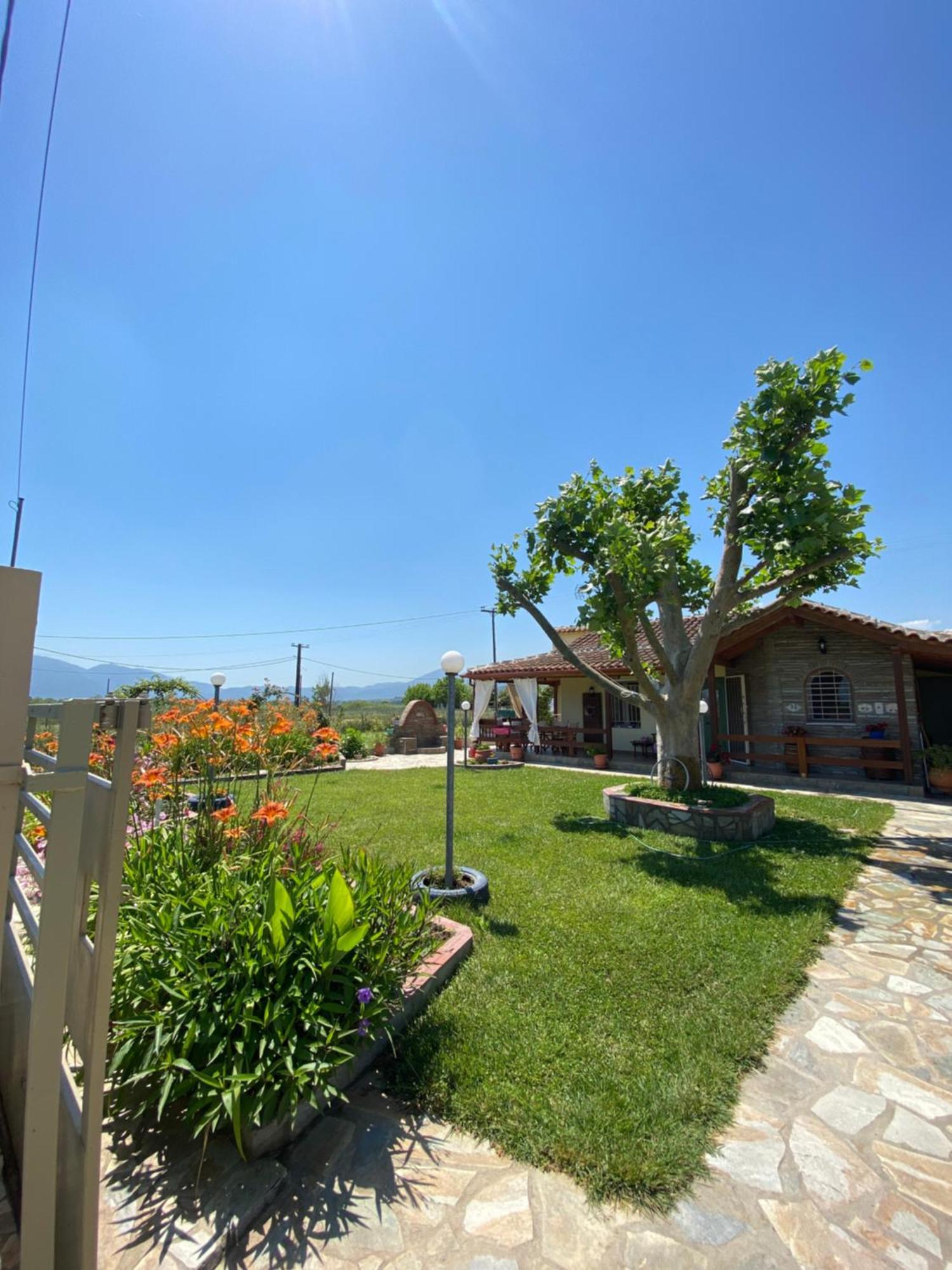 Platanos House Villa Néa Meságkala Kültér fotó