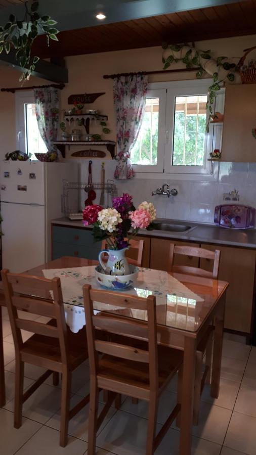 Platanos House Villa Néa Meságkala Kültér fotó